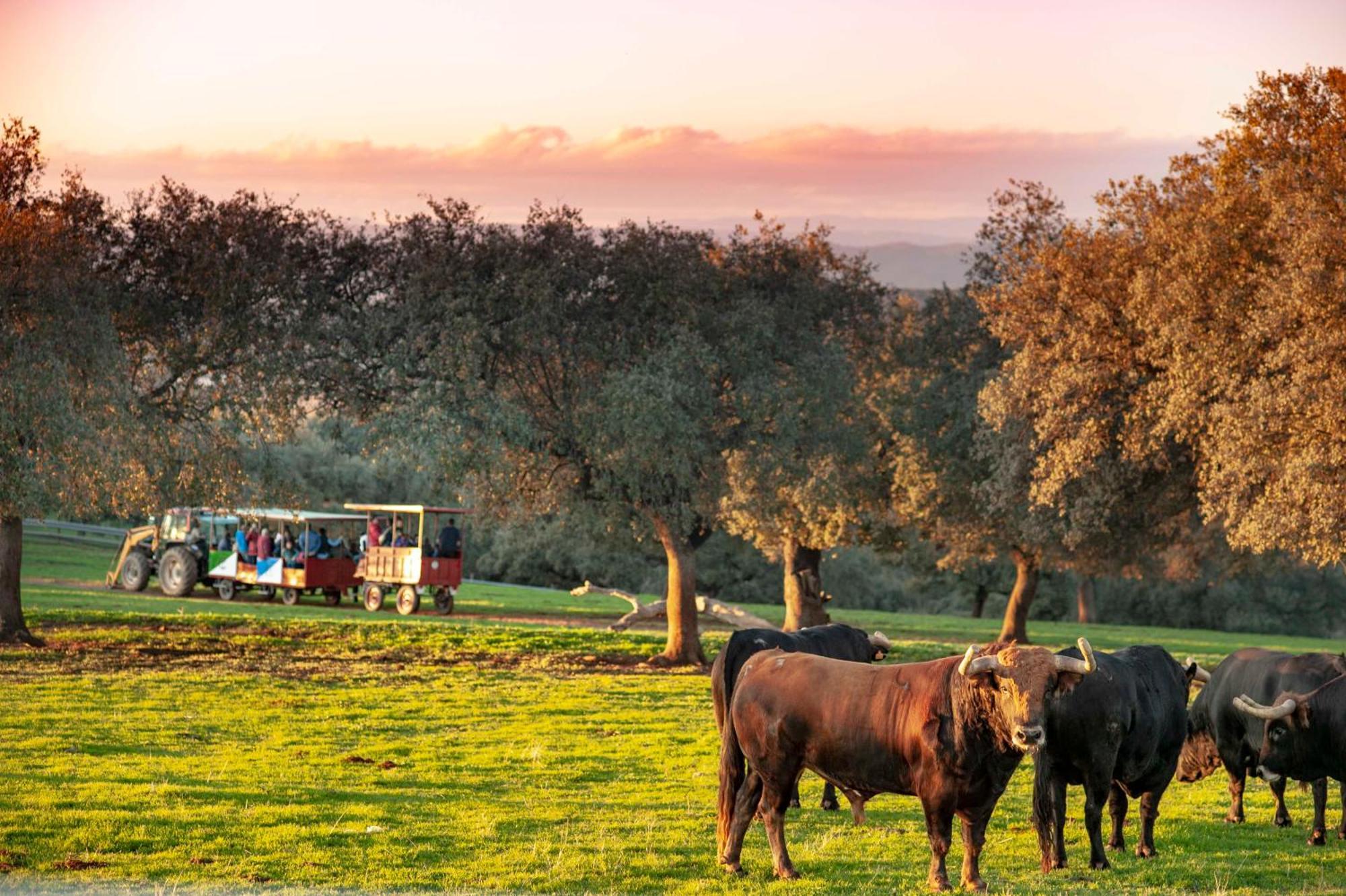 Finca El Cotillo リナーレス エクステリア 写真