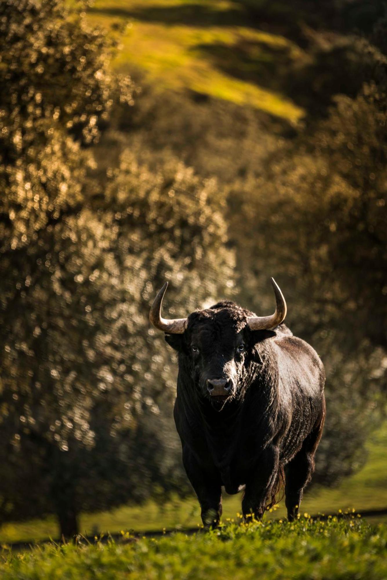 Finca El Cotillo リナーレス エクステリア 写真