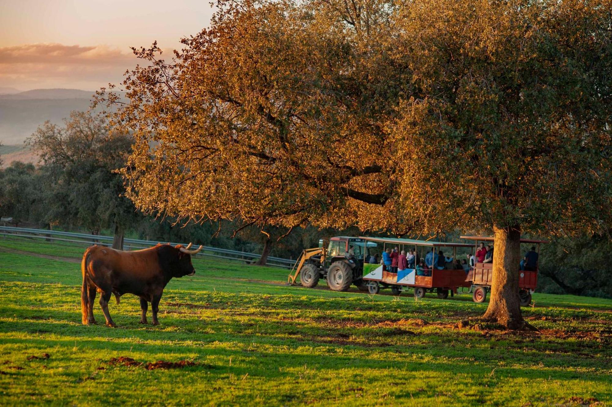 Finca El Cotillo リナーレス エクステリア 写真